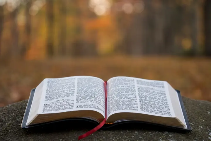 An open Bible